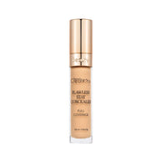Beauty Creations Flawless Stay Concealer - C12