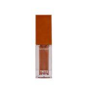 Beauty Creations Tinted Luxe Lip Oil "Headliner"