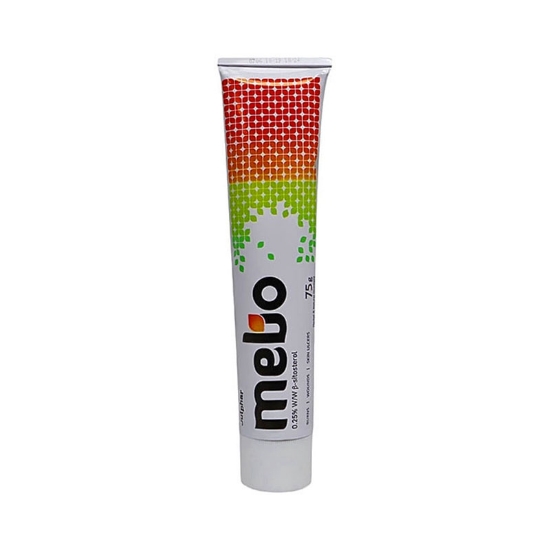 Mebo Ointment 75 g