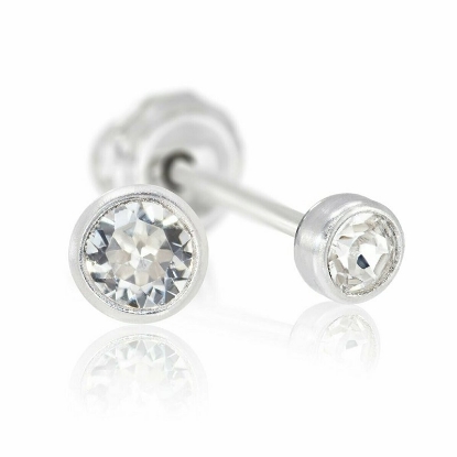 Inverness 17C Titanium Clear Crystal Bezel Earrings 4mm